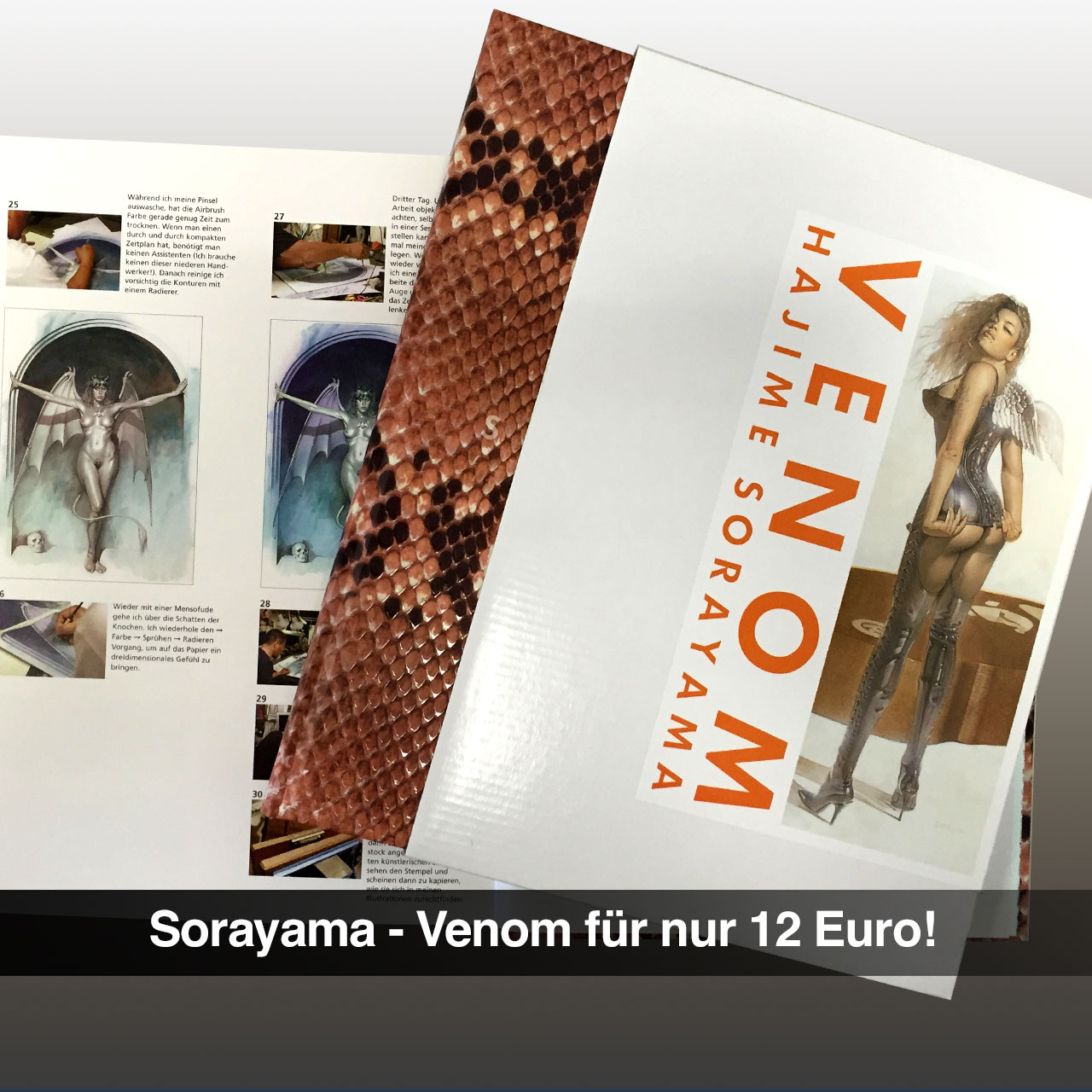 Sorayama Venom, Erotik Airbrush Artbook